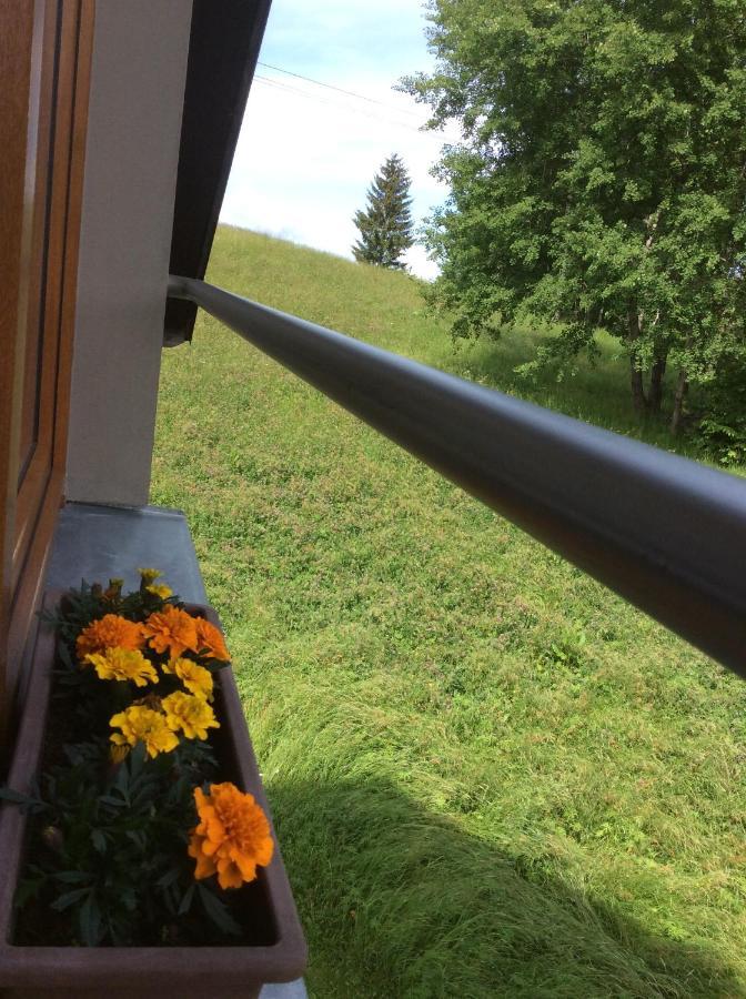 Apartman Odolov Jestrebi Hory Male Svatonovice Buitenkant foto