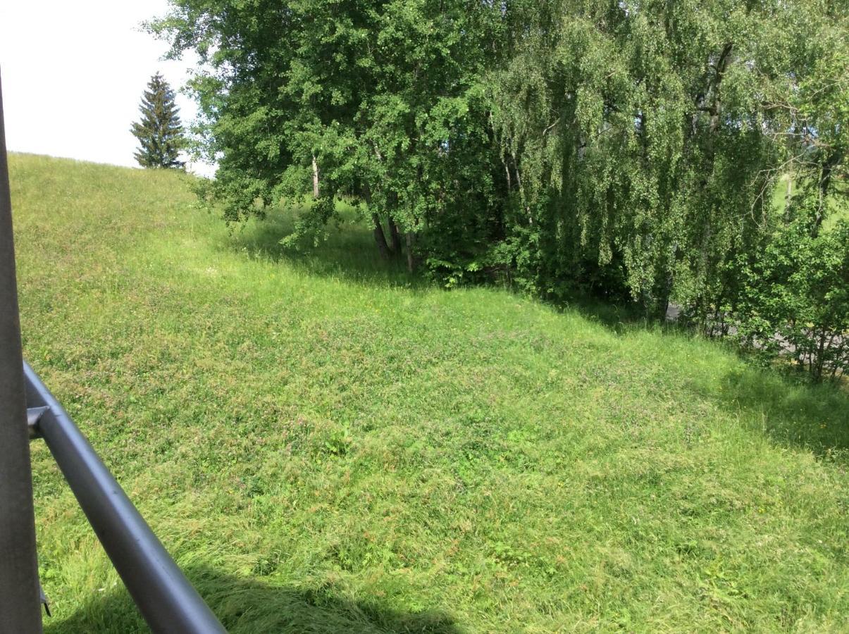 Apartman Odolov Jestrebi Hory Male Svatonovice Buitenkant foto